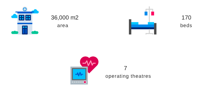 Hisar in figures